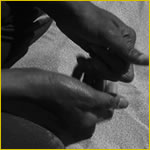 Las migrantes (2009)